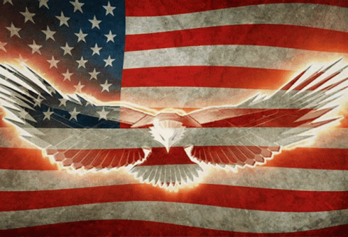 American Flag Eagle Saying Do Not Talk Shit