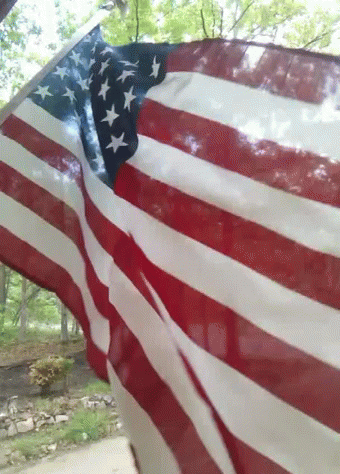 American Flag Flying in Wind With Trees