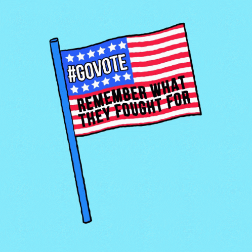 American Flag #Govote Remember What They Fought For