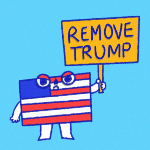 American Flag Holding Remove Trump Sign GIF
