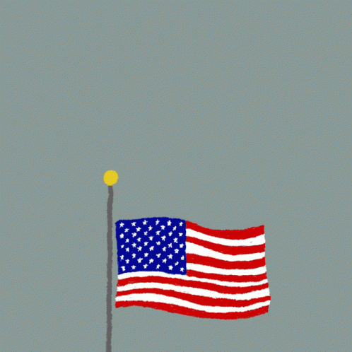 American Flag Protect the Democracy They Fought and Died For