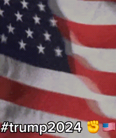 American Flag Trump2024 GIF
