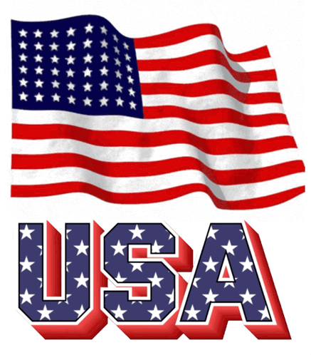 American Flag USA with Stars