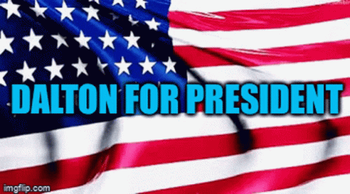 American Flag Waving Dalton For President GIF