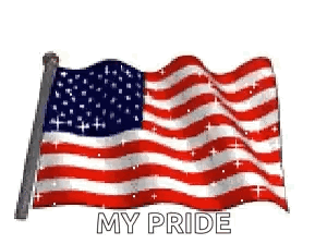 American Flag Waving In Wind GIF
