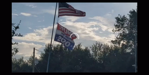 American Flag Waving Trump GIF