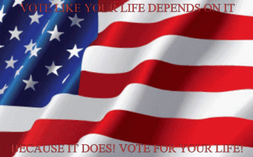 American Flag Waving Vote For Your Life GIF