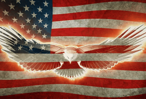 American Flag With Bald Eagle GIF