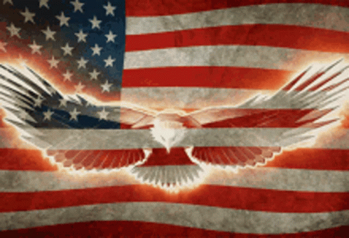 American Flag With Bald Eagle GIF