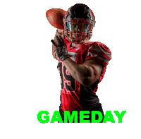 American Football Gameday Sticker GIF