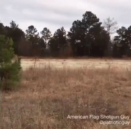 American Guy Holding Shotgun And Flag GIF