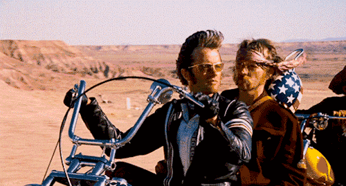 American Hog Rider Trip GIF