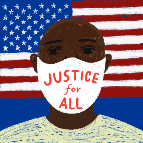 American Justice For All Mask GIF