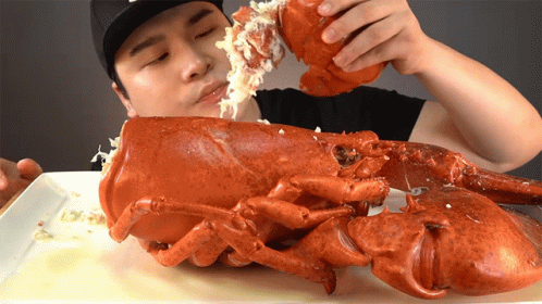 American Lobster Mukbang Ddeonggae GIF