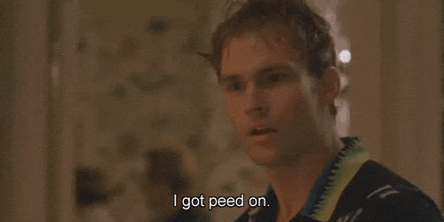 American Pie Seann William Scott Got Peed On GIF
