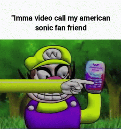 American Sonic Friend Video Call GIF