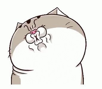 Ami Fat Cat Nope Dont Like That GIF