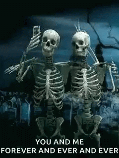 Amigos Selfie Skeleton GIF