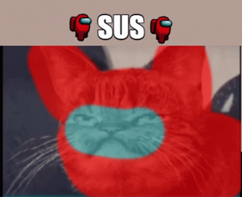 Among Us Suspicious Cat Red Hoodie Meme GIF