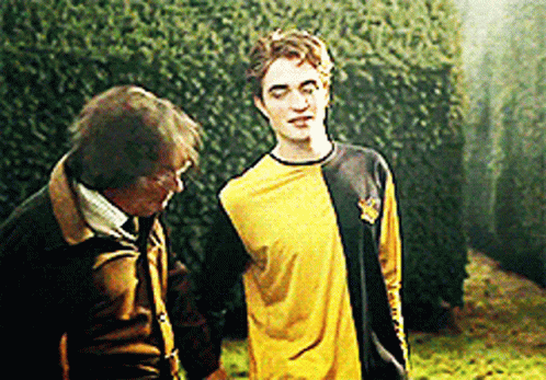 Amos And Cedric Diggory GIF