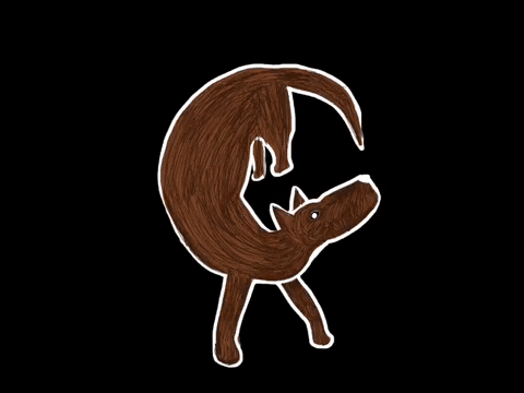 Amusing Brown Dog Chasing Tail Art GIF