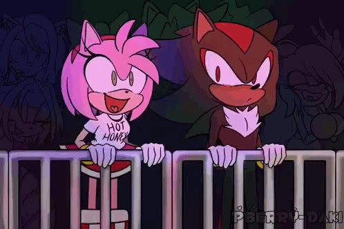 Amy and Shadow Over Fence