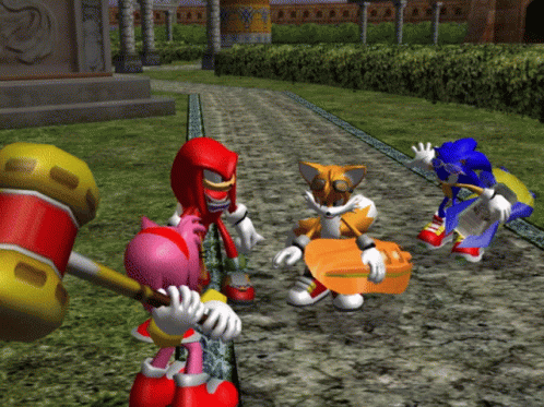 Amy Rose And Sonic Team Fighting GIF