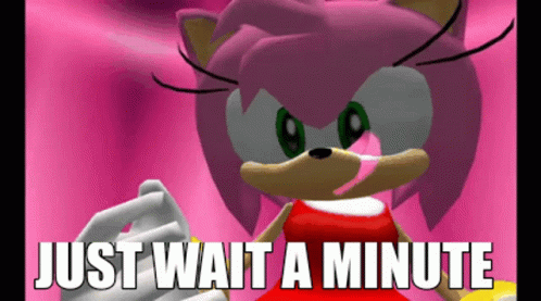 Amy the Hedgehog Saying Just Wait a Minute