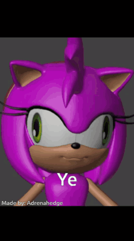 Amy the Hedgehog with Ye Shirt