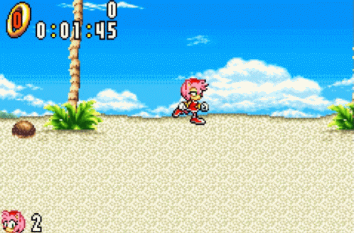Amy Walking On Beach In Sonic Game GIF