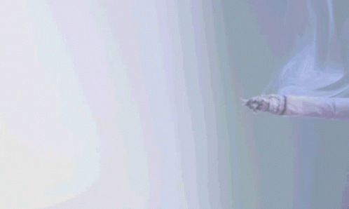An Advertisement For An Air Purifier For Smoke With A Phone Number GIF
