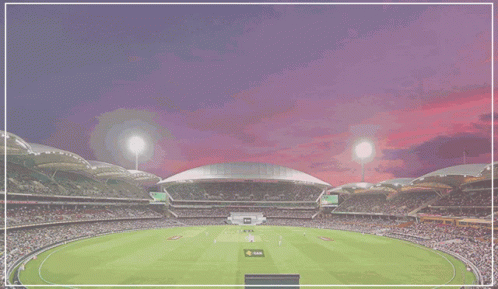 An Advertisement For Cricket Scoreboard Australia With A Picture Of A Cricket Field GIF
