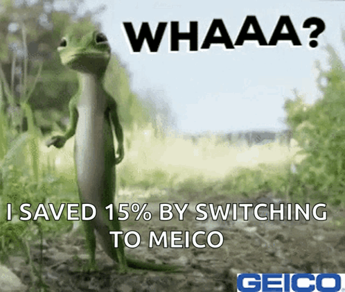 An Advertisement For Geico Shows A Lizard Standing In The Grass GIF