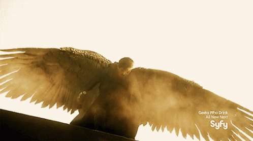 An Advertisement For Syfy Shows A Man With Wings Spread GIF