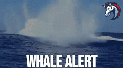 an advertisement for whale alert with a unicorn on it