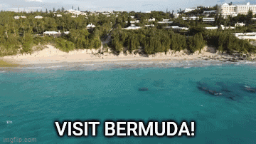 An Aerial View Of A Beach With The Words Visit Bermuda On The Bottom GIF