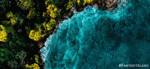 An Aerial View Of A Body Of Water Surrounded By Trees With The Hashtag Fantasy Island GIF