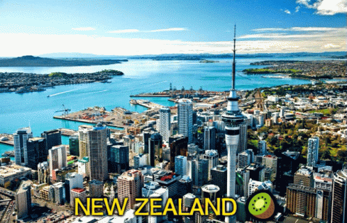 An Aerial View Of A City In New Zealand With A Kiwi In The Foreground GIF