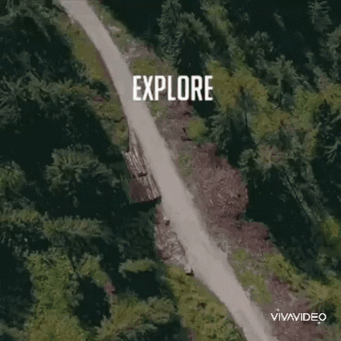 An Aerial View Of A Dirt Road In The Middle Of A Forest GIF