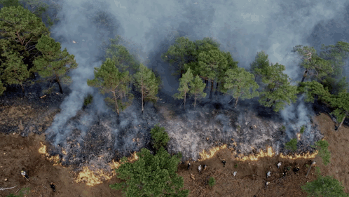 An Aerial View Of A Forest Fire With Smoke Coming From The Trees GIF