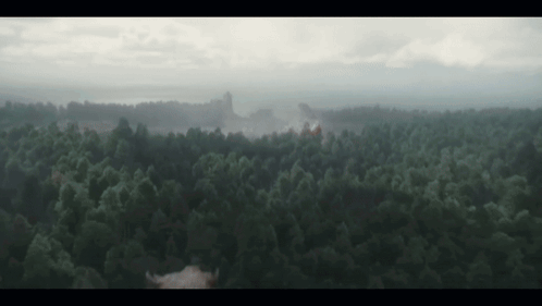 An Aerial View Of A Forest With A Castle In The Distance . GIF