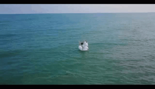 An Aerial View Of A Person On A Unicorn Float In The Ocean GIF