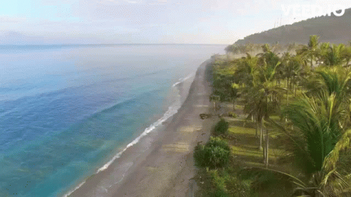 An Aerial View Of A Tropical Beach With Palm Trees And Mountains In The Background GIF