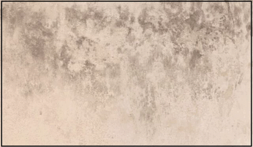 An Air Purifier For Mold Is Advertised By Airdog Silicon Valley Air Experts GIF
