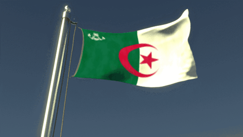 An Algerian Flag Is Flying In The Wind GIF