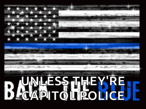 An American Flag With The Words Unless They 'Re Back Capitol Police On It GIF