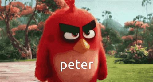 An Angry Bird From The Movie Angry Birds Is Named Peter GIF