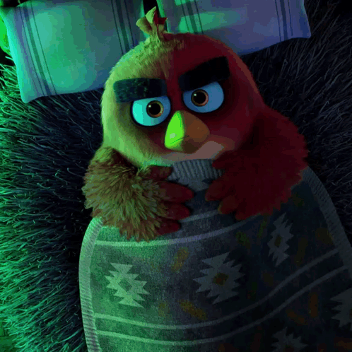 Angry Bird Wrapped In Blanket On Bed GIF