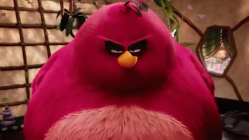 An Angry Bird With An Orange Beak And Black Eyes GIF