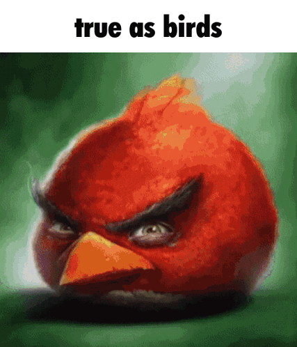 An Angry Bird With The Words True As Birds Below It GIF